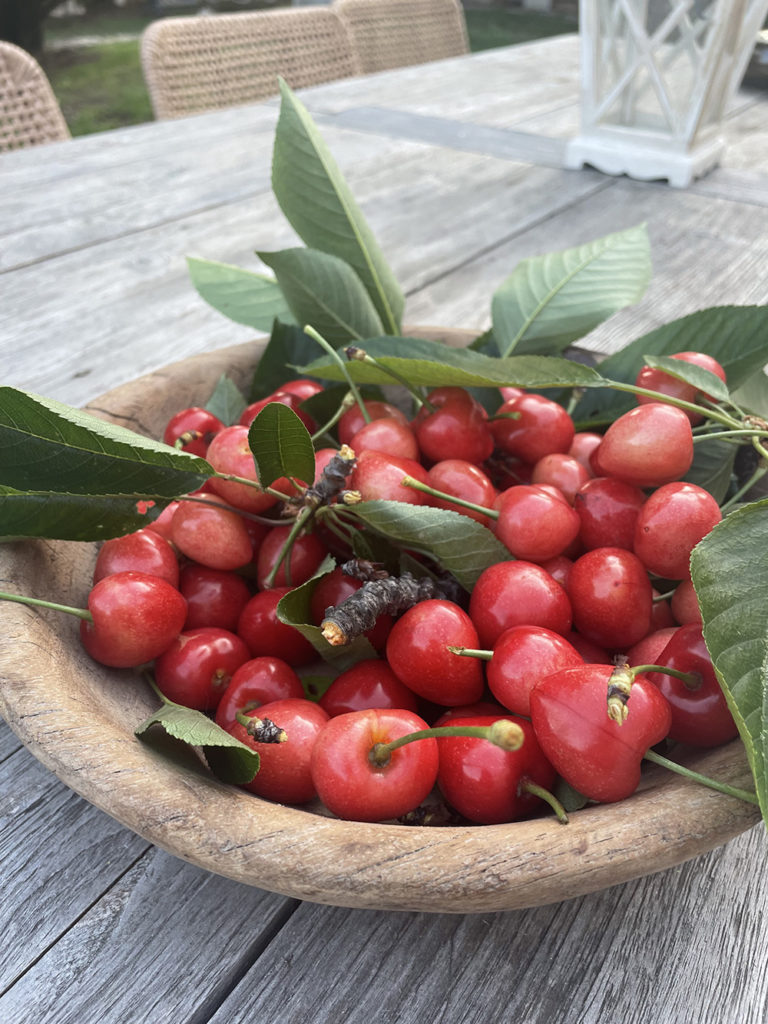 cerises